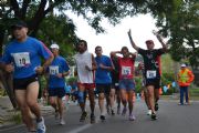 C314499