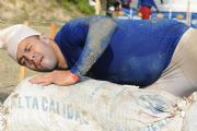 D319729