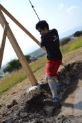 A318117