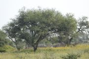 K328769
