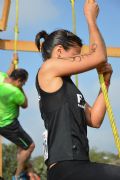 D323306