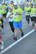H331954