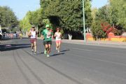 Y346782