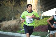 Y360733