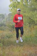 D368308