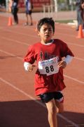K377185