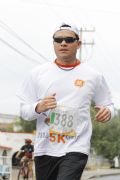 W384781