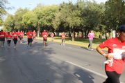 B392026