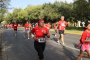 G392484