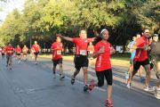 Q390103