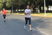 Q391079