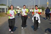 W395387