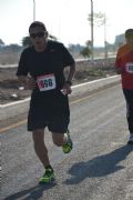 Z395231