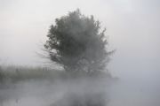 Y398354