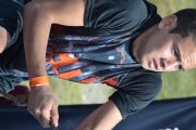 Q401781