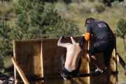 S412798