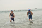 Q468701