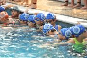 Q465606