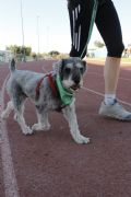 J488615