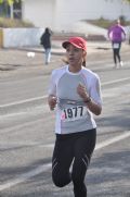 R501566