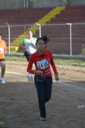 V504399