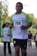 T499434