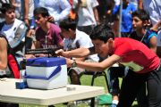 Y508074