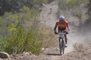 S508733