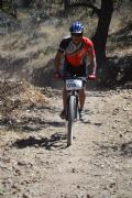 I509781