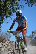 I510017