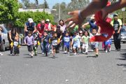 T511393