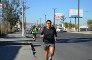 V511664