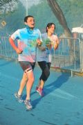 K515567