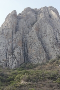M525974