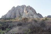 P523594