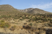 P523595