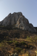 Y523596