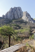 Y523599