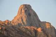 C523639