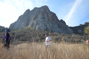 H523759