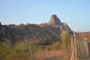 S523638