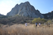 V523671