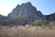 V523673
