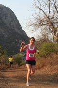 N531525