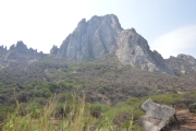 G524746
