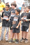 D521546