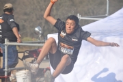 Q520578