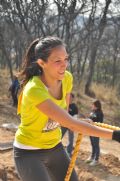D534398