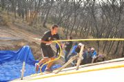 Y533754