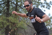 D519733